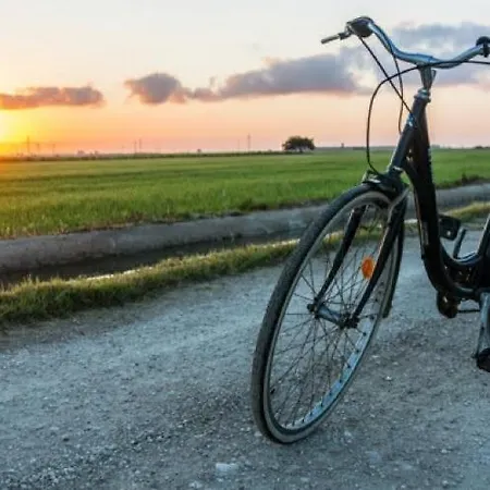 Lägenhet Somriu Deltebre